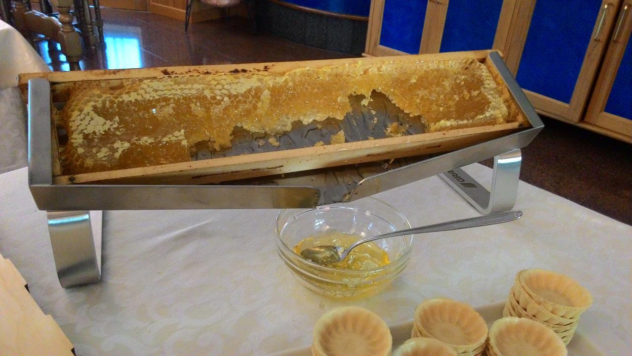 فندق هوتل ميجليوراتي كاستوني ديلا بريسولانا المظهر الخارجي الصورة